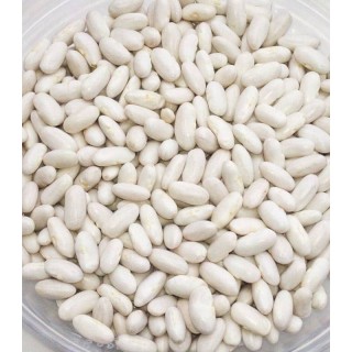Seminte de fasole boabe Cannellino, sac 25 kilograme