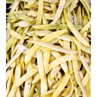 Seminte de fasole Super Nano Giallo (fasole pitica cu pastaie lata), 250 g