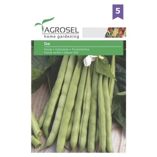Seminte de fasole Iza, 45 g