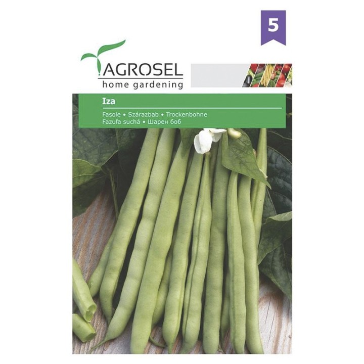 Seminte de fasole Iza, 45 g