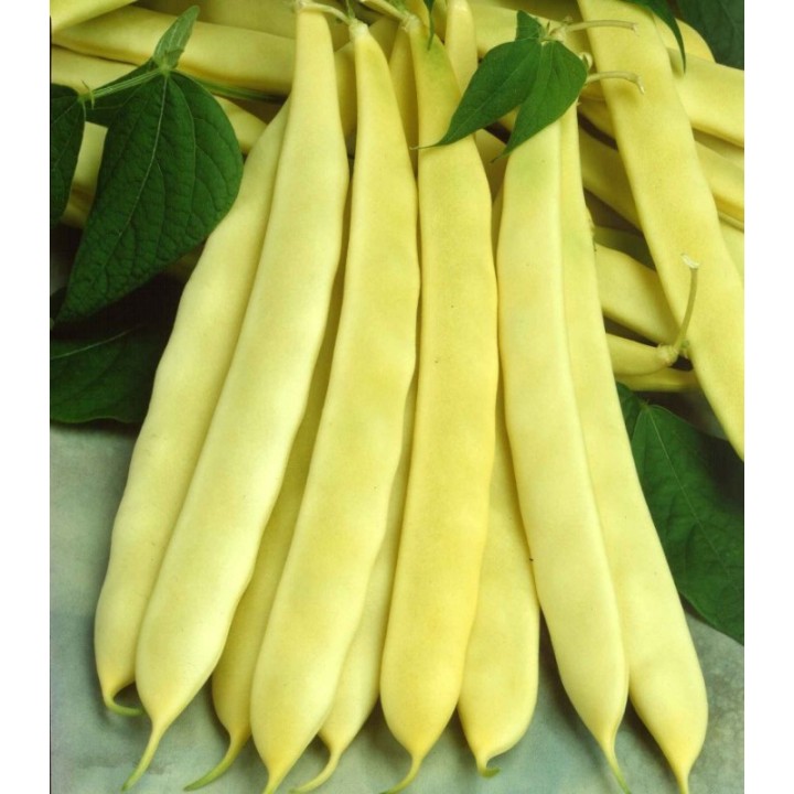 Seminte de fasole Serpedor (fasole oloaga cu pastaie lata), 10 kg