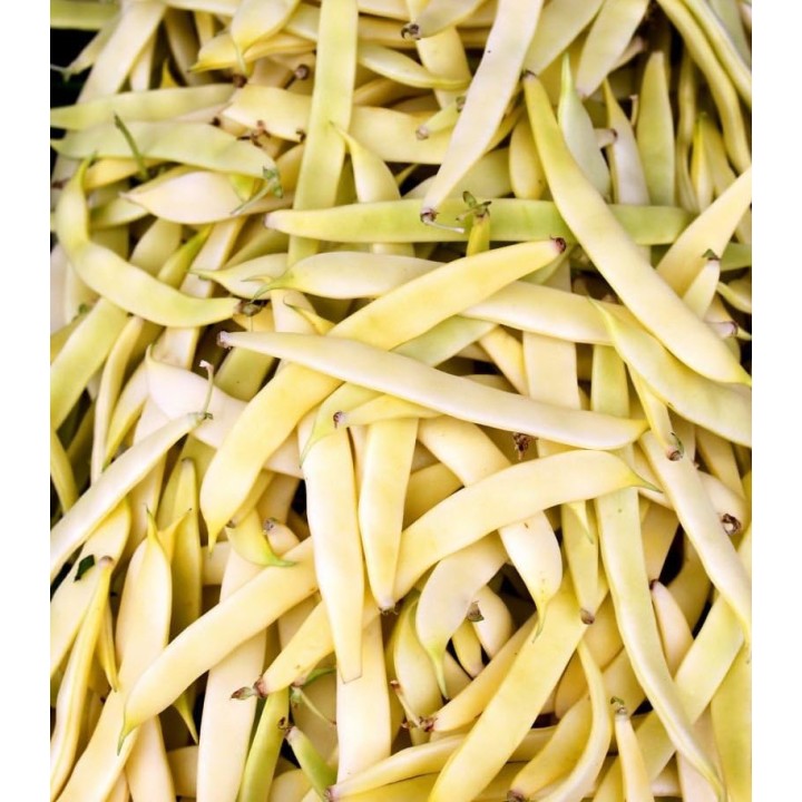 Seminte de fasole Super Nano Giallo (fasole pitica cu pastaie lata), 250 g