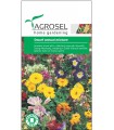 Flori Amestec anual pitic, 3.5 g