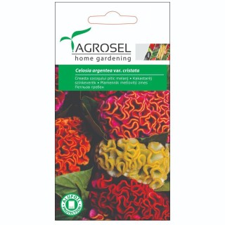Creasta cocosului, pitic melanj 0.65 grame