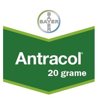 Fungicid Antracol 70 WP