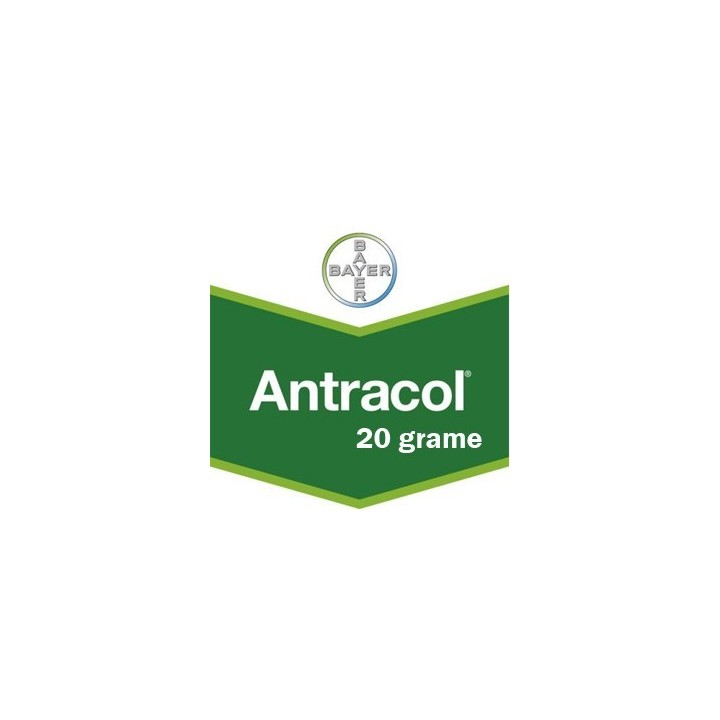 Fungicid Antracol 70 WP
