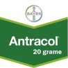 Fungicid Antracol 70 WP