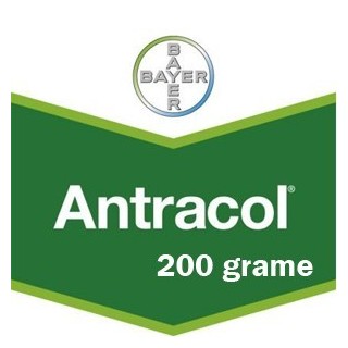 Fungicid Antracol 70 WP 200 grame