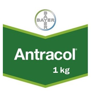 Fungicid Antracol 70 WP 1 kg