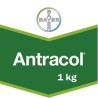Fungicid Antracol 70 WP 1 kg