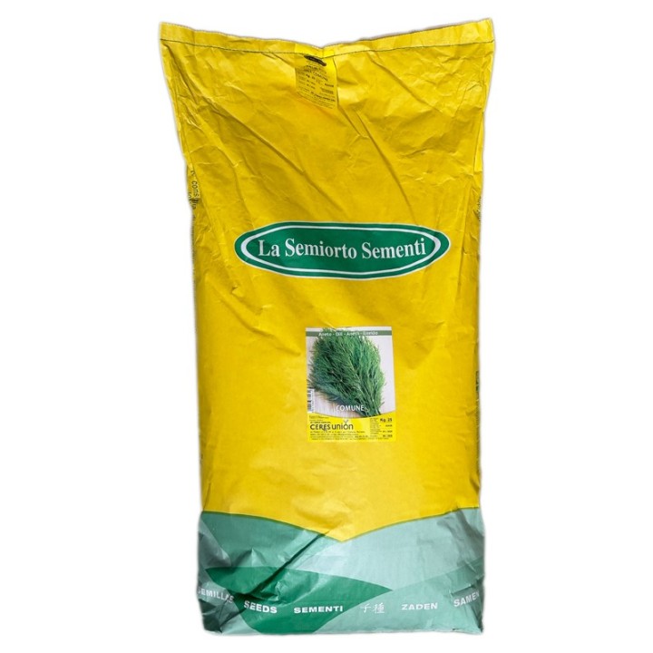 Seminte de marar Comun, 25 kilograme