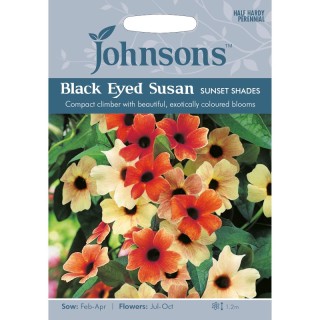 Thunbergia Black Eyes Susan Sunset Shades, 15 seminte