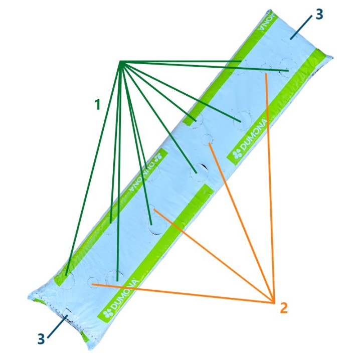 Schema saltea capsun 1