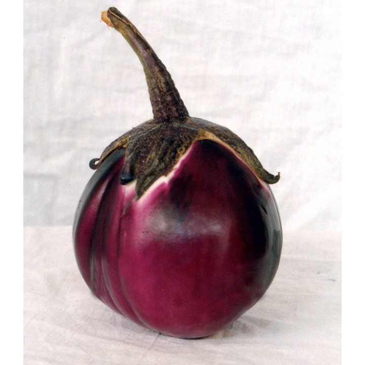 Seminte de vinete Purple Queen F1, 100 seminte