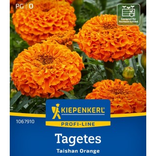 Craite Taishan Orange F1, 20 seminte