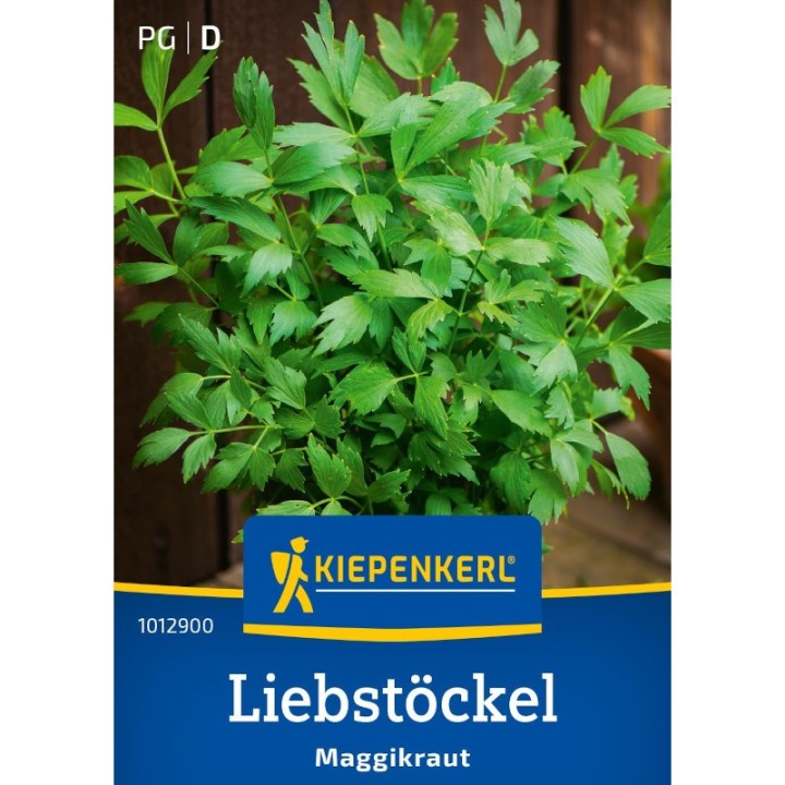 Leustean (50 seminte)