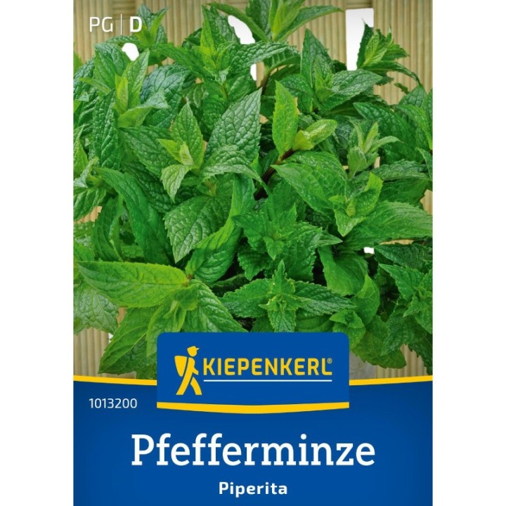 Menta (60 seminte)