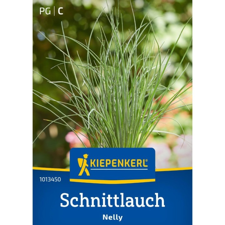 Seminte de ceapa de tuns Chives Nelly, 200 seminte