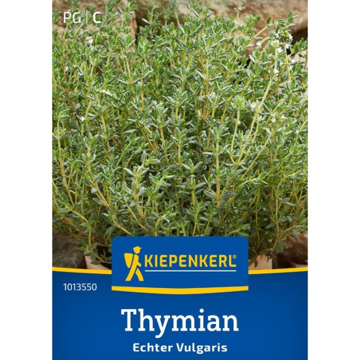 Cimbrisor -Thymian (100 seminte)