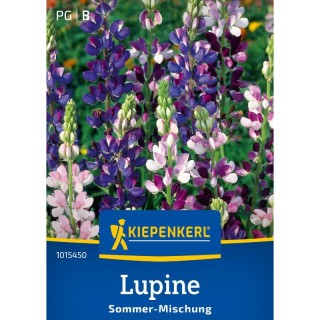 Lupin (40 seminte)