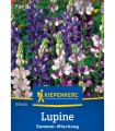 Lupin (40 seminte)