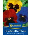 Panselute Amestec (50 seminte)