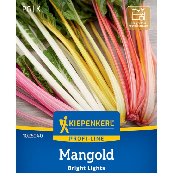 Seminte de Mangold Bright Lights, 50 seminte