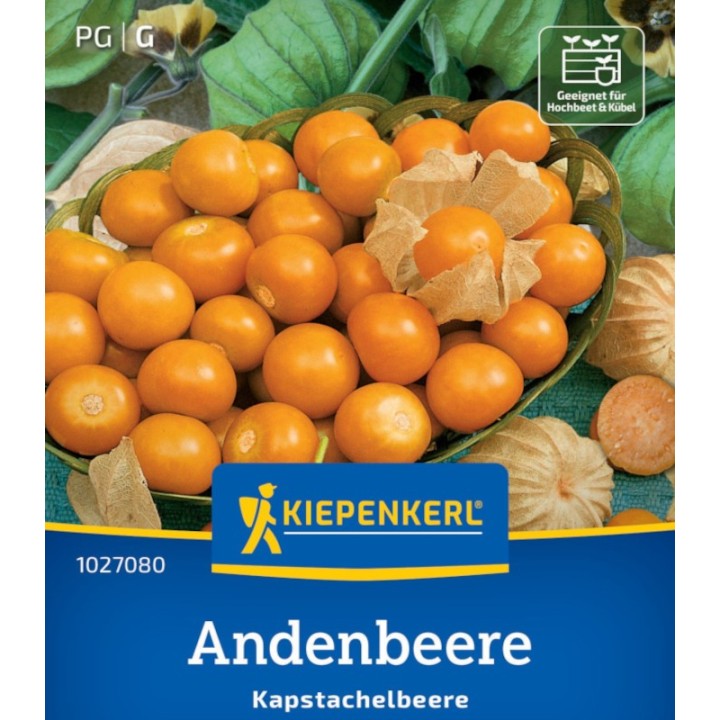 Physalis peruviana (30 seminte)