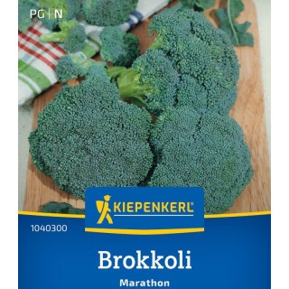 Seminte de broccoli Marathon F1, aprox 40 Seminte