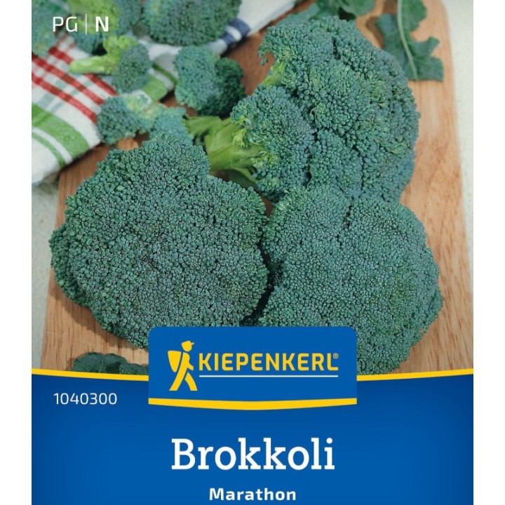 Seminte de broccoli Marathon F1, aprox 40 Seminte