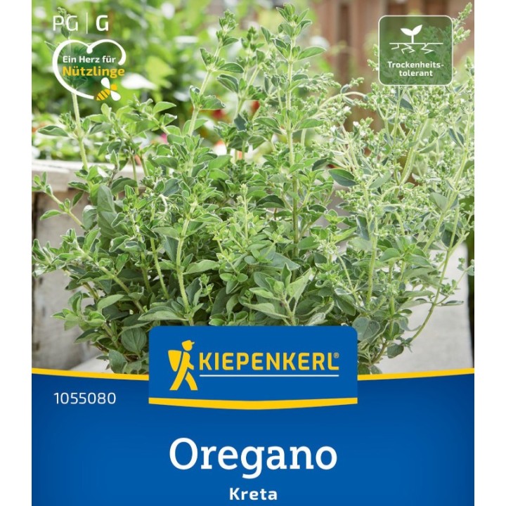 Seminte de oregano grecesc Kreta, 100 seminte, aroma si miros deosebite