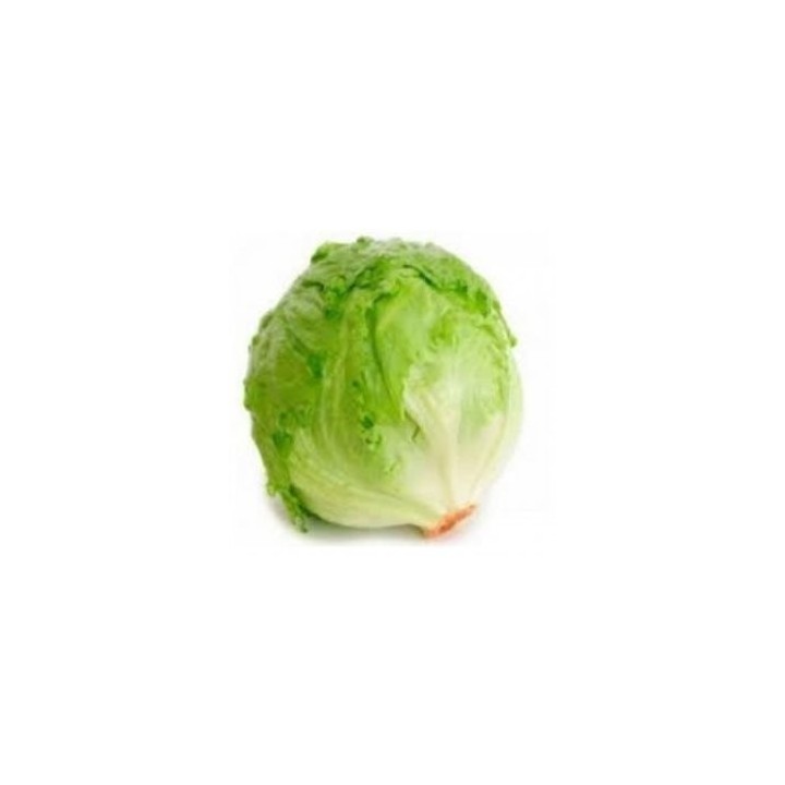 Salata iceberg David F1