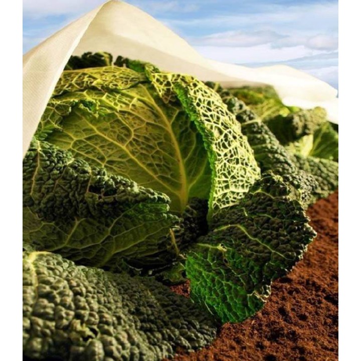 Folie Plant Protex Novagril, ranforsat, 23 g/mp, 10.5 m x 100 m