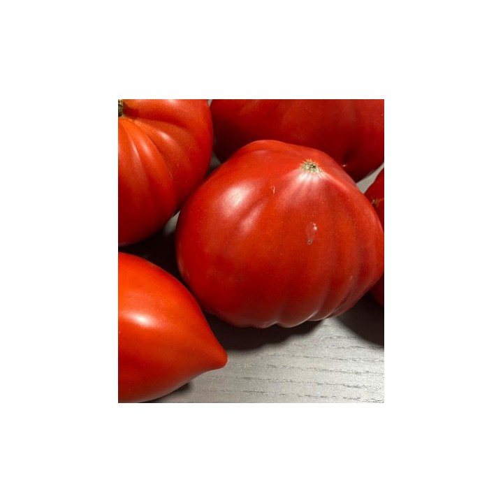 Seminte de tomate Dossimo F1, 250 seminte