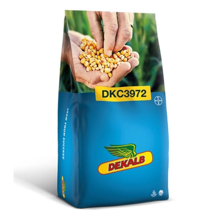 Seminte de porumb Dekalb DKC 3972 Acceleron, FAO 390, sac 80.000 seminte