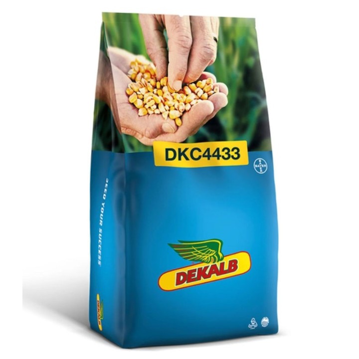 Seminte de porumb DKC 4433, sac 80.000 seminte
