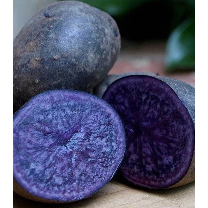 Cartofi mov de samanta Violet Queen, 2.5 kilograme