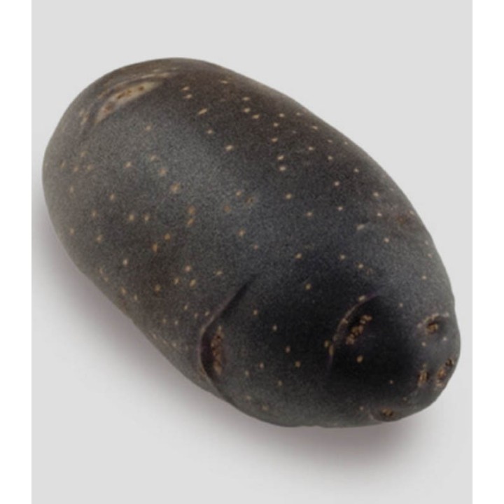 Cartofi de samanta mov, Violet Queen, 2.5 kg