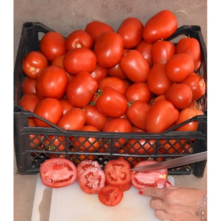Seminte de tomate Serengheti F1, 1000 Seminte