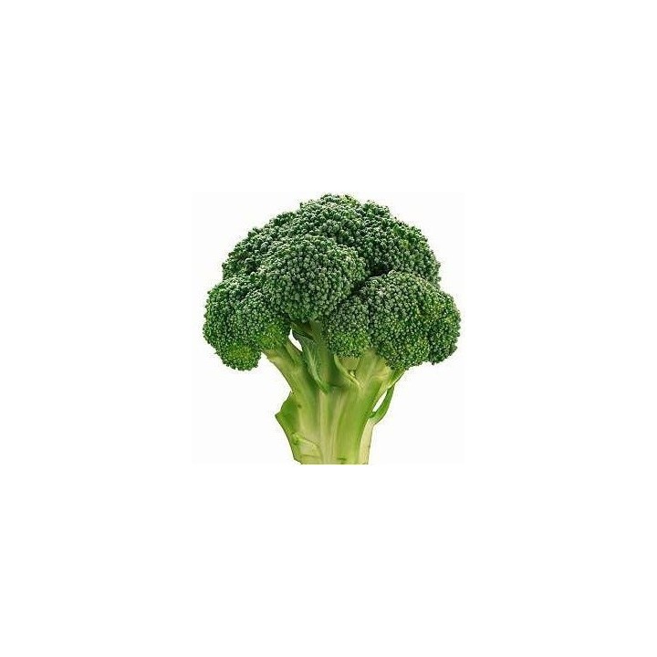 Seminte de broccoli Agassi F1 RZ, 2500 Seminte