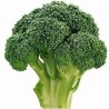 Seminte de broccoli Agassi F1 RZ, 2500 Seminte