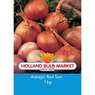 Ceapa esalota Red Sun - 1 kilogram