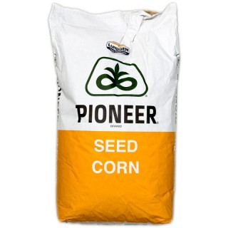 Seminte de porumb Pioneer P9944, FAO 360, sac 80.000 seminte