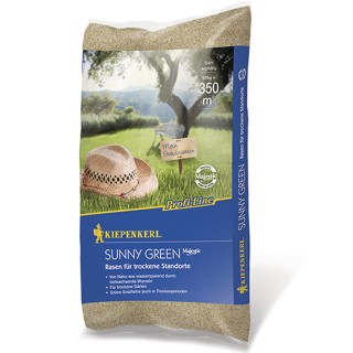 Seminte de gazon profi Sunny Green, 10 kg