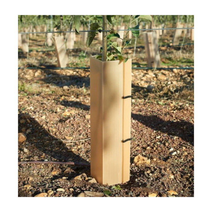 Tub de protectie pentru puieti si plante tinere, 40 cm, set 100 bucati poza2