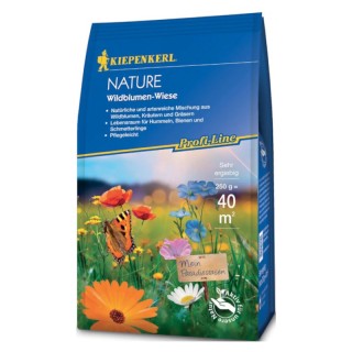 Amestec flori de pajiste - 250 grame