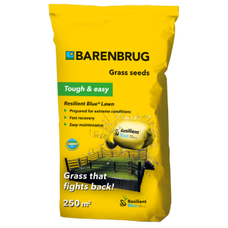 Seminte de gazon Resilient Blue® Lawn (30% PP cu YJWM + 25% LP RPR + 45% Festuca), 5 kg