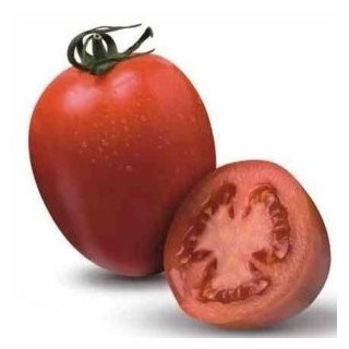 Tomate Byelsa F1