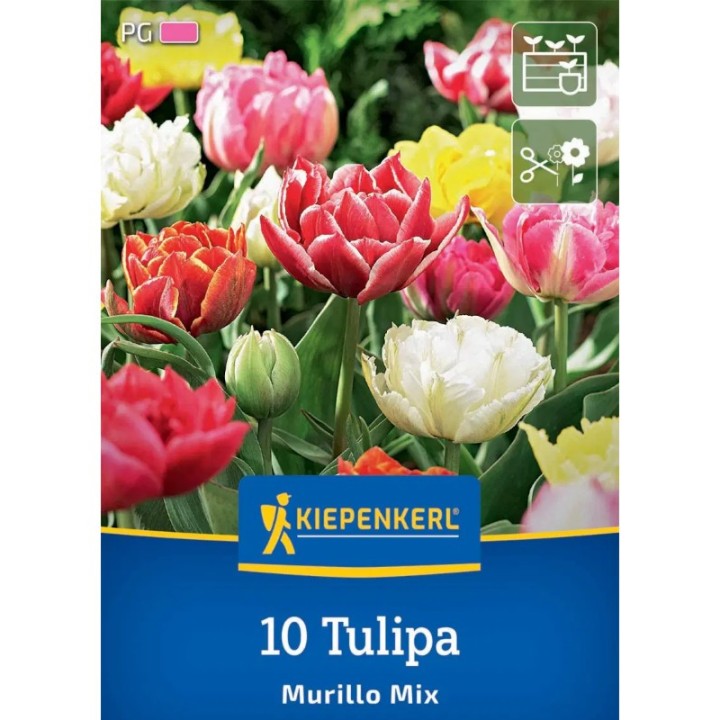 Lalele Murillo Mix, 10 bulbi