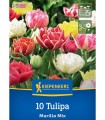Lalele Murillo Mix, 10 bulbi